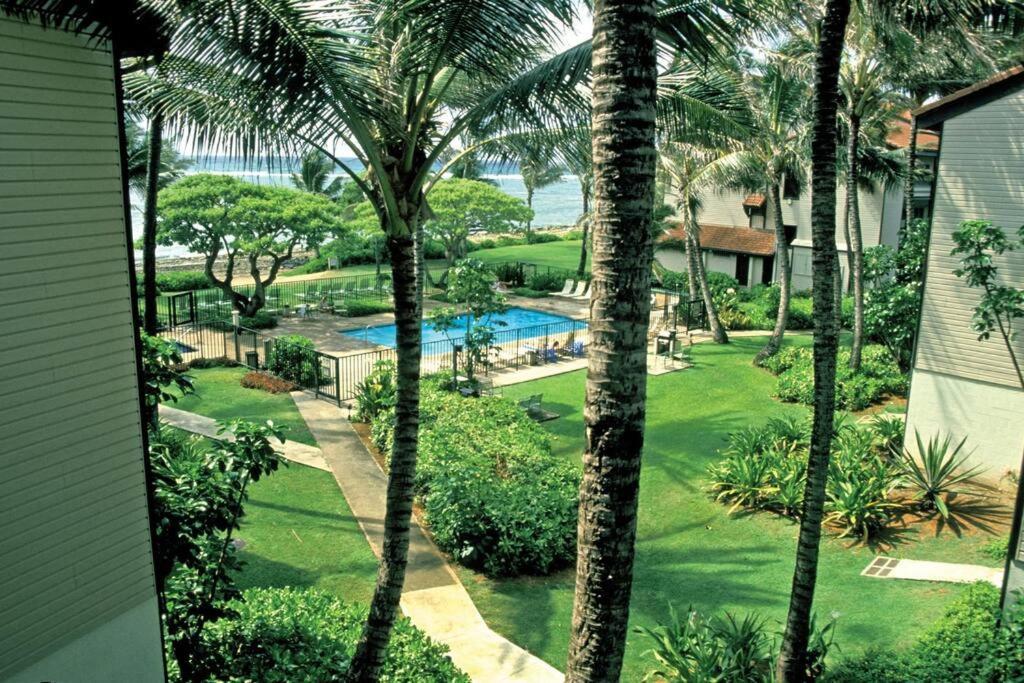 1Br Condo At Oceanfront Resort Kapaa Shore Kapa'a Ngoại thất bức ảnh